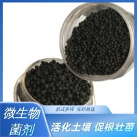 松土精土壤活化劑改善土壤調(diào)酸仰堿微生物菌劑水溶肥養(yǎng)花植物生根