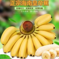 海南皇帝蕉新鮮香蕉5斤代發(fā)包郵當(dāng)季孕婦水果帝王蕉皮薄小米蕉