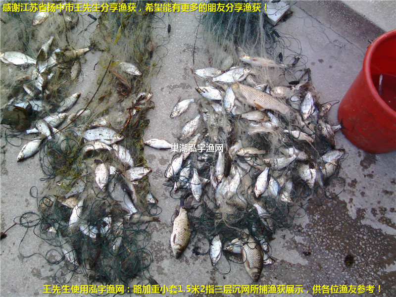 感謝江蘇省揚(yáng)中市王先生分享漁獲！