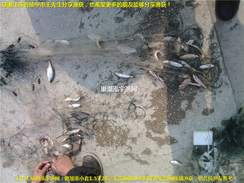 感謝江蘇省揚(yáng)中市王先生分享漁獲！