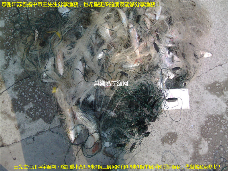 感謝江蘇省揚(yáng)中市王先生分享漁獲！