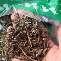 中藥材莽草 春草 菵草 石桂 紅桂 鼠莽 實(shí)物拍攝