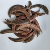 中藥材 小皂角大皂角 豬牙皂 皂莢 牙皂皂莢豬牙皂角小皂莢大皂莢