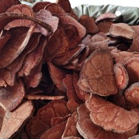 中藥材批發(fā) 冷背片 無硫 龍須藤九龍?zhí)?五花血藤 九龍根 入骨丹