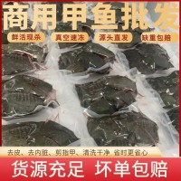 鮮活現(xiàn)殺麻辣小甲魚鹵甲魚半成品商用去皮老鱉冷凍一整箱新鮮真空