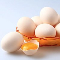 玉米喂養(yǎng)土雞鮮雞蛋白殼紅殼 當(dāng)日現(xiàn)撿整箱批發(fā)360枚整箱批發(fā)