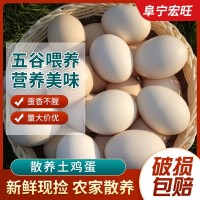 正宗土雞蛋農(nóng)家散養(yǎng)新鮮農(nóng)村自養(yǎng)野外笨雞蛋