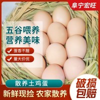 正宗農(nóng)村土雞蛋整箱雞蛋新鮮柴雞蛋農(nóng)家散養(yǎng)草雞蛋