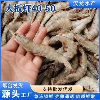 現(xiàn)貨批發(fā) 大板蝦40-50冷凍白蝦鹽凍蝦商用整箱批發(fā)基地