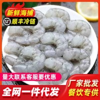 新鮮蝦仁冷凍真空包裝現(xiàn)剝蝦仁無(wú)冰青蝦仁去蝦線鮮凍去腸蝦仁批發(fā)