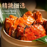 螃蟹六月黃大閘蟹精品塘活蟹貨好品質(zhì)味美鮮甜大閘蟹螃蟹批發(fā)