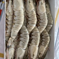 原條黑虎蝦 冷凍水產(chǎn) 冷凍蝦 餐飲食材 工廠直銷 全國發(fā)貨