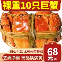 蘇州大閘蟹陽澄湖鎮(zhèn)大閘蟹螃蟹卡公母蟹高檔禮盒團(tuán)購送禮
