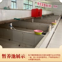 批發(fā)現(xiàn)貨陽澄湖鎮(zhèn)活體螃蟹精品禮盒六月黃公母鮮活大閘蟹中秋送禮
