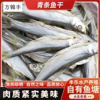 壽縣方錦豐青條魚干豐樂水產(chǎn)瓦埠湖淡曬魚干草魚小魚干
