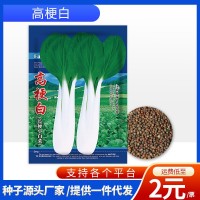 廠(chǎng)家批發(fā)代發(fā)快速耐抽苔四季長(zhǎng)梗小白菜青菜種子耐熱耐寒蔬菜