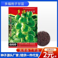 廠(chǎng)家批發(fā)代發(fā)快速耐抽苔四季種植孢子甘藍(lán)包菜菜種子耐熱耐寒蔬菜