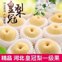 河北皇冠梨10斤包郵整箱新鮮水果梨當(dāng)季梨子趙縣