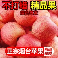 新鮮蘋果煙臺蘋果煙臺紅富士蘋果山東煙臺紅富士蘋果10斤裝