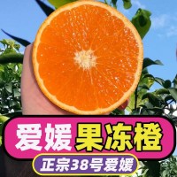 2024正宗四川愛(ài)媛38號(hào)果凍橙手剝橙新鮮水果柑橘桔子甜橙整箱包郵