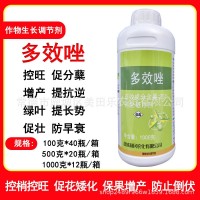 25%多效唑懸浮劑果樹花卉水稻控旺劑矮化劑控制生長調(diào)節(jié)劑矮壯素