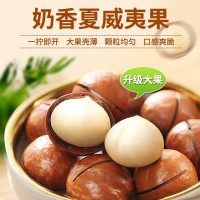 新貨夏威夷果奶油味堅果干果孕婦休閑零食500g代發(fā)大果薄皮