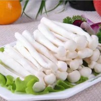 海鮮菇