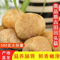 古田猴頭菇干貨深山煲湯猴菇頭非新鮮500g菌菇袋裝批發(fā)直銷(xiāo)養(yǎng)胃