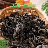 東北黑木耳（1.8-2.5）云耳 鼠耳 涼拌木耳肉厚泡發(fā)率高　無(wú)異物