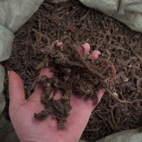 云南中藥材紫丹參片批發(fā)丹參條本色丹參可磨粉一件代發(fā)大貨供應(yīng)