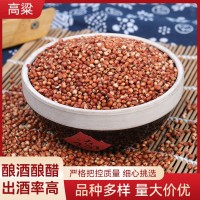 高粱 源頭廠(chǎng)貨批發(fā)帶皮高粱 未脫皮信鴿飼料原料紅高粱 釀酒釀醋
