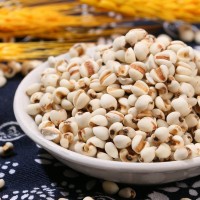廠(chǎng)家供應(yīng)薏仁米 中藥材炒薏米仁 五谷雜糧農(nóng)家粗糧 豆?jié){磨粉原料