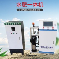 全自動智能水肥一體機單雙通道手機遠程控制大棚滴灌噴灌系統(tǒng)安裝