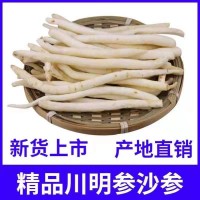 四川川明參批發(fā)沙參批發(fā)明參明黨參產(chǎn)地批發(fā)煲湯滋補沙參節(jié)地攤貨