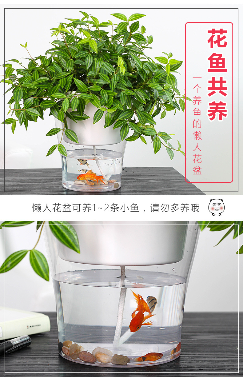 補(bǔ)圖_01
