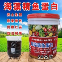 水溶肥生根壯苗膨果肥海藻精魚(yú)蛋白黃腐酸鉀甲殼素魚(yú)蛋白量大從優(yōu)
