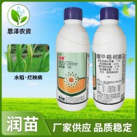 潤苗 11%精甲·咯·嘧菌 立枯病 白絹病 根腐病拌種農(nóng)藥殺菌劑