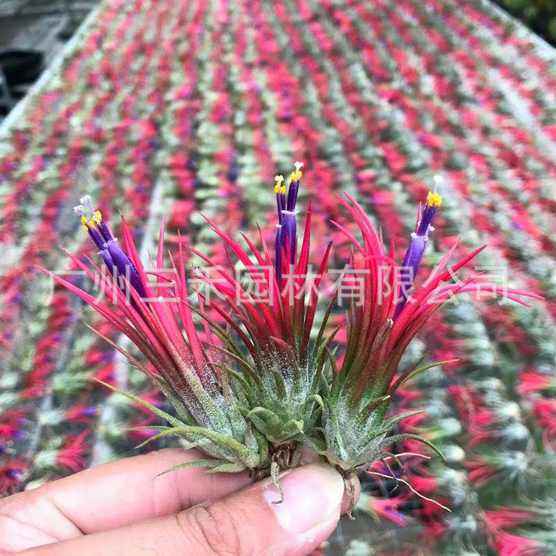 微信圖片_20191024084902_副本.jpg