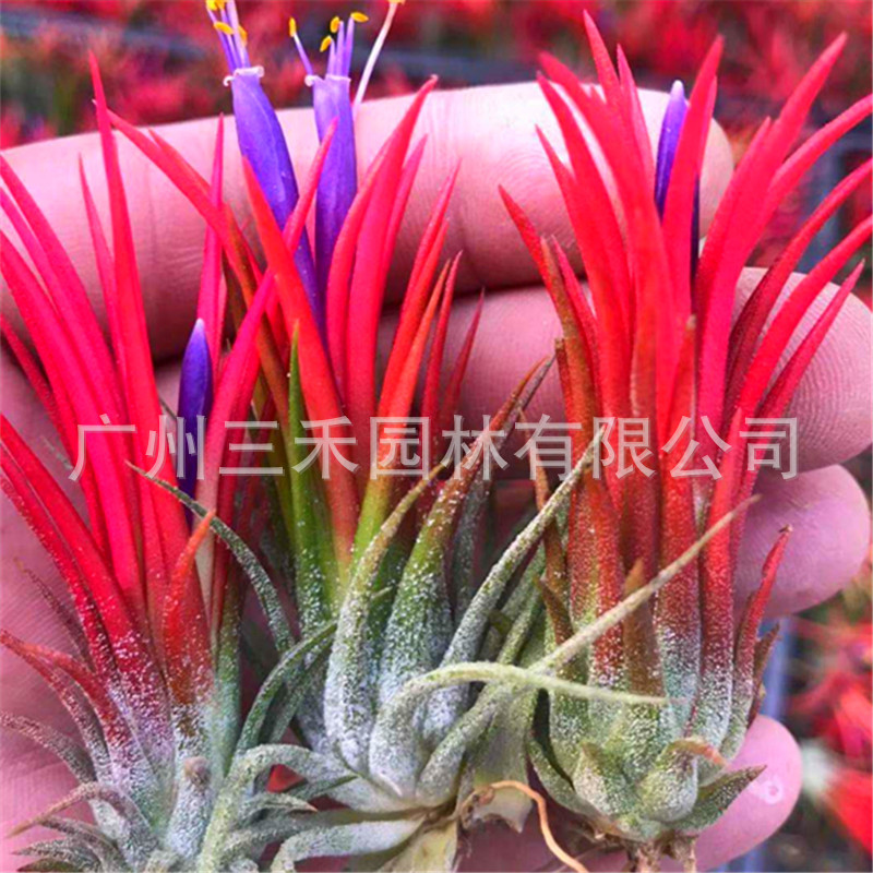 微信圖片_20191024084834_副本.jpg