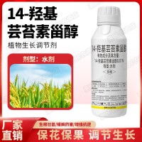 14-羥基蕓苔素甾醇 天然蕓苔素內(nèi)酯?；ū９馑幒χ参锷L(zhǎng)調(diào)節(jié)劑