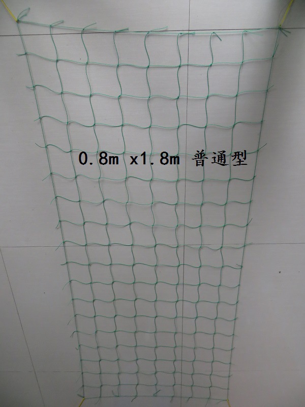 爬藤網(wǎng) 1