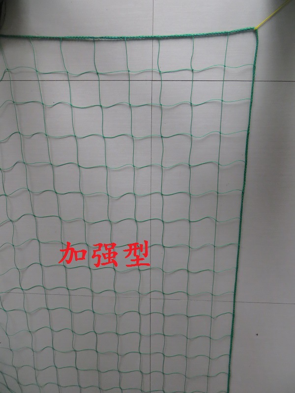 爬藤網(wǎng) 2