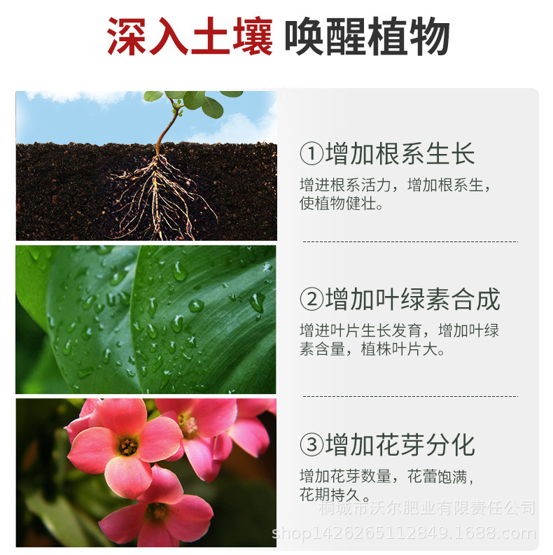詳情頁(yè)-2.jpg