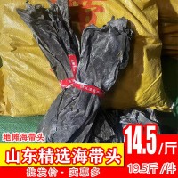 山東精選海帶頭干貨肉厚展銷會海帶頭特厚海帶頭曬干海帶頭批發(fā)