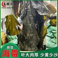 2024新貨散裝海帶干貨整條海帶曬干葉大厚實少沙干海帶皮批發(fā)地攤
