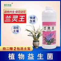 蘭靈王蘭花營(yíng)養(yǎng)液525ml/瓶蘭花君子蘭肥料生根催芽EM菌液微生物菌