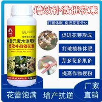 授粉坐果精果樹(shù)控梢促花素座果靈君子蘭開(kāi)花素催花劑長(zhǎng)壽花葉面肥