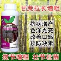 甘蔗專(zhuān)用葉面肥生長(zhǎng)素增粗拉長(zhǎng)靈膨大增甜劑拔節(jié)藥壯豐素水溶肥料