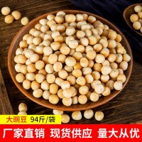 批發(fā)生豌豆五谷雜糧 帶皮白豌豆做重慶小面可發(fā)芽做鴿糧袋裝88斤