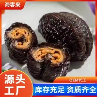 加拿大即食紅極參工廠批發(fā)新鮮紅參一件代發(fā)野生進口無刺紅筋海參